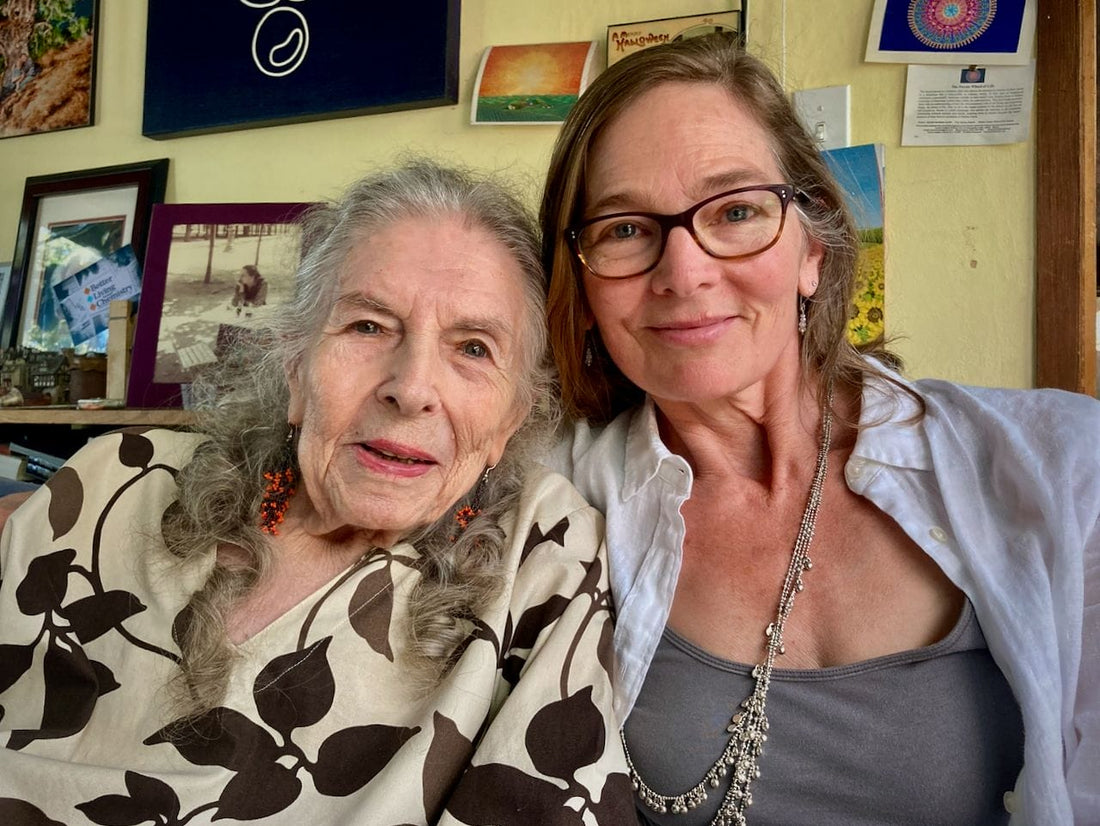Continuing the Shulgin Legacy: Synergetic Press & Transform Press Agree to a Co-Publishing Deal
