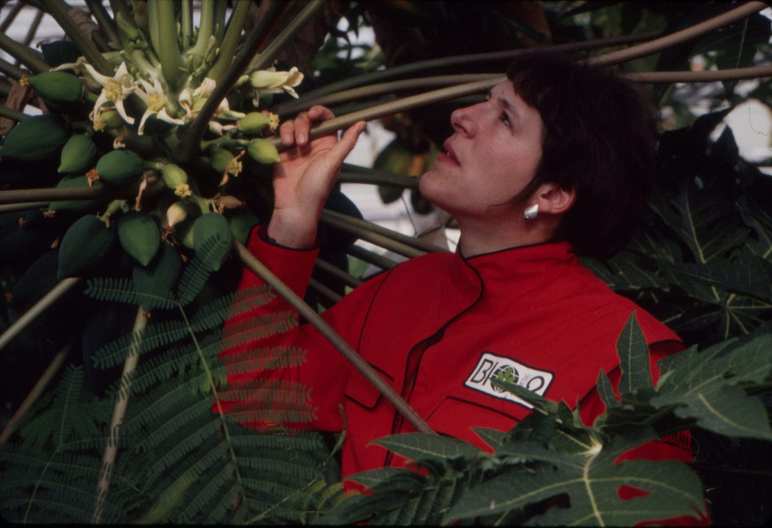 Remembering Sally Silverstone - Biospherian, Author and Friend