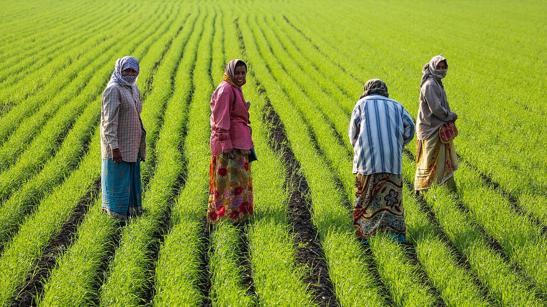 Ecofeminism: Women’s Rights are Nature’s Rights