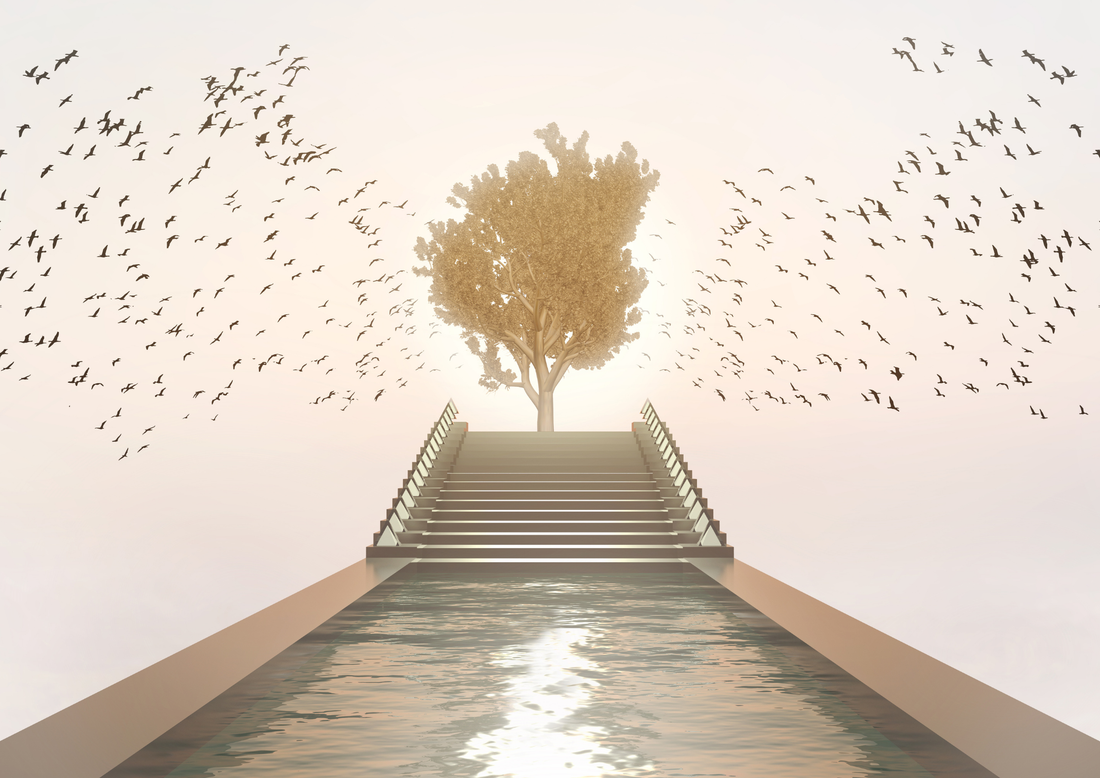 Going Within: The Exploration of Consciousness in an Age of Distraction