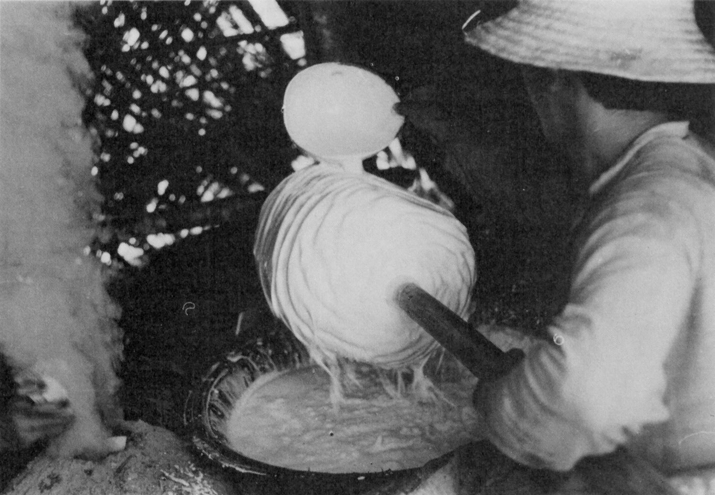 White Gold: the Diary of a Rubber Cutter in the Amazon 1896-1906