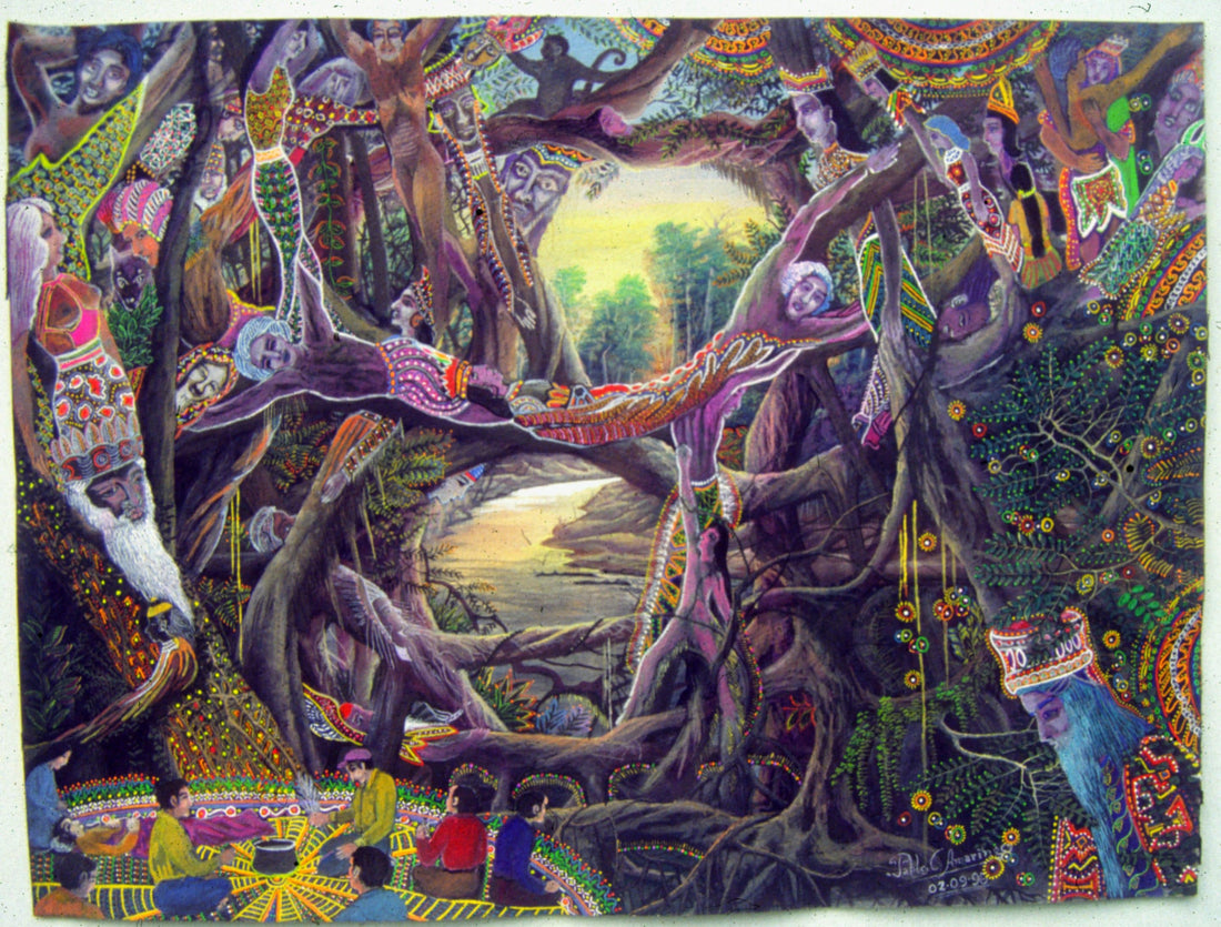 Ayahuasca, Lore of the Amazon and Rainforest Action