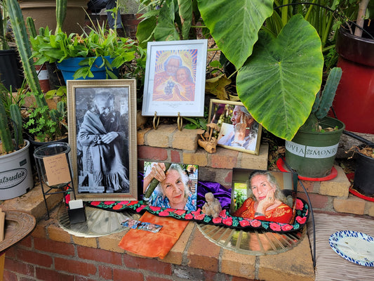 Celebrating Ann Shulgin's Legacy in Community