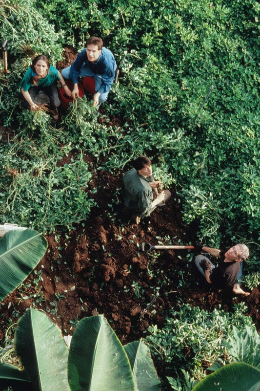 Crucial Lessons in Planetary Stewardship