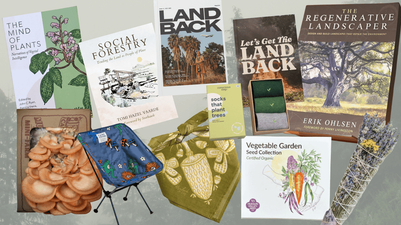 Nature-Inspired Giving: The Earth-Lovers Gift Guide