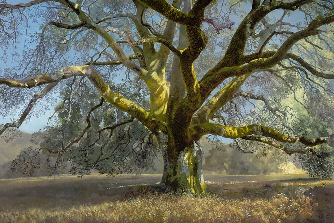 What Trees Can Teach Us About Regeneration