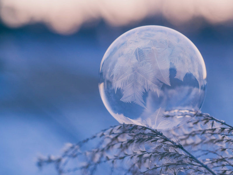 Winter Solstice Celebrations