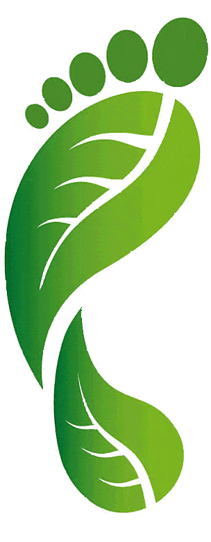Ecological Footprint