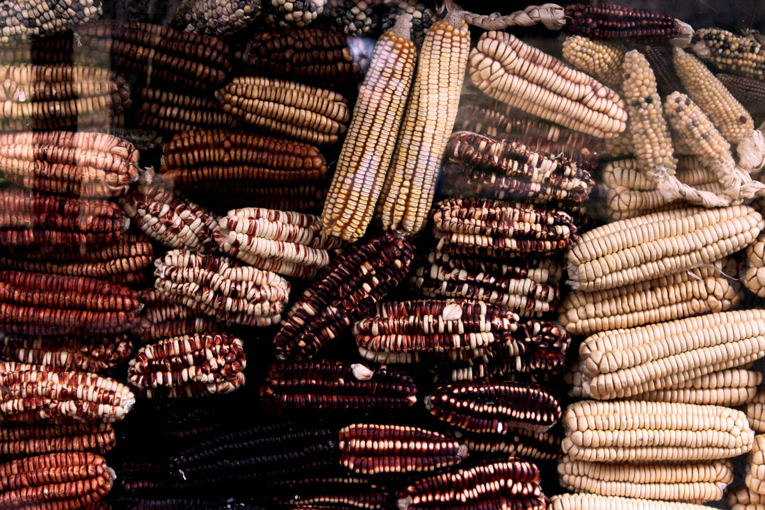 Indigenous Food Sovereignty: Nourishing Communities, Preserving Cultures