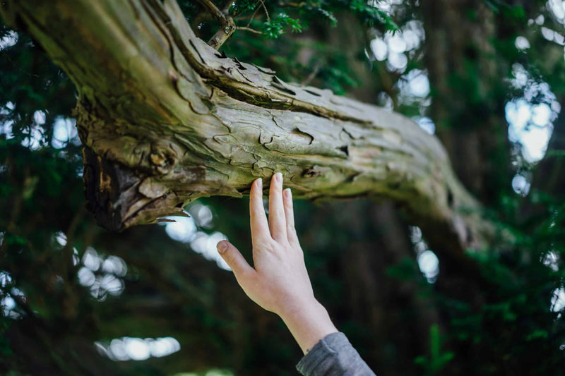 Earth Day: From Dystopia to a Hopeful Future