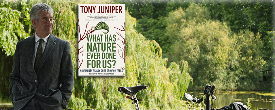 Tony Juniper Tours America
