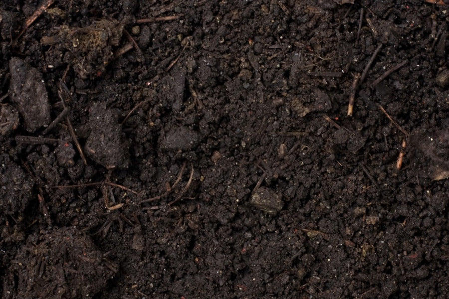 2015: International Year of The Soils