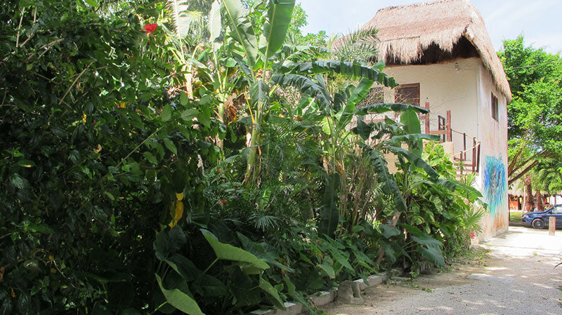 The Wastewater Gardener is Winning!