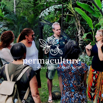 Permaculture Education Institute