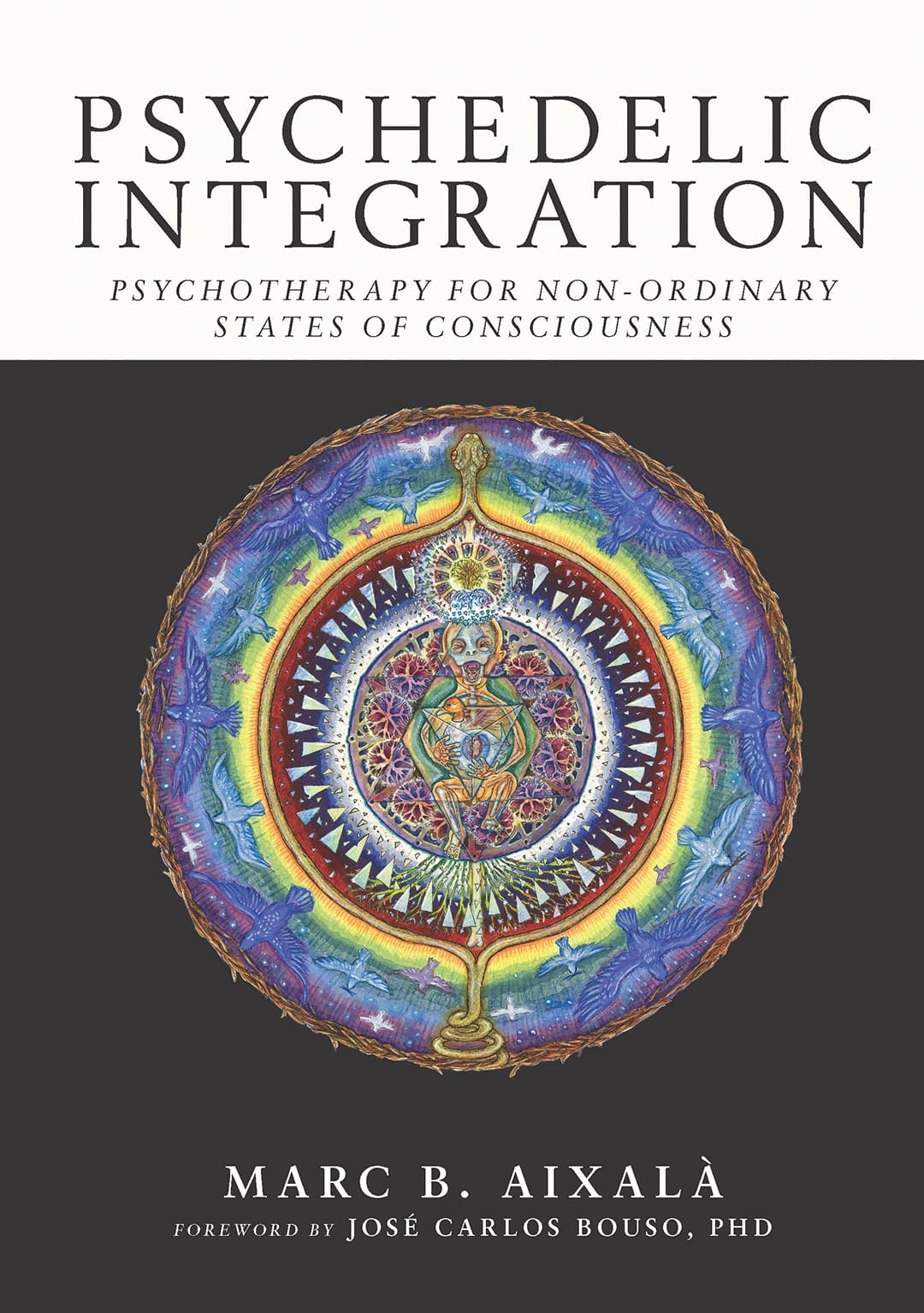 Psychedelic Integration: Psychotherapy for Non-Ordinary States of