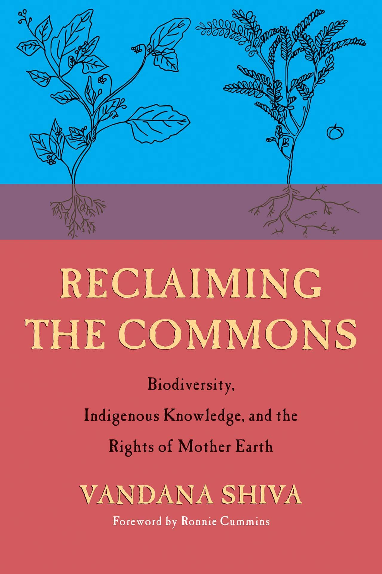 Reclaiming the Commons: Biodiversity, Indigenous Wisdom, and the Rights of Mother Earth
