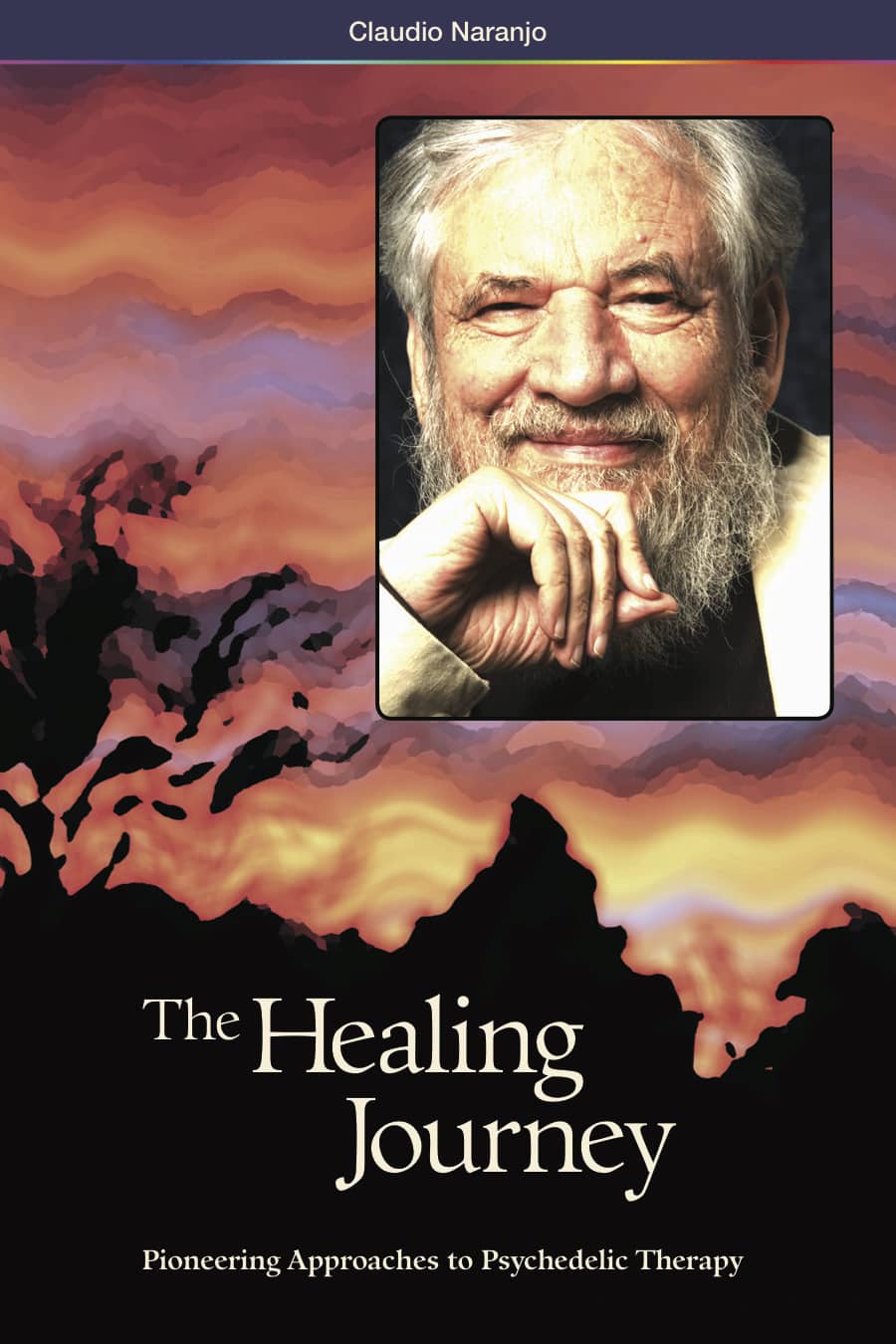 The Healing Journey: Pioneering Approaches to Psychedelic Therapy (2nd Edition)