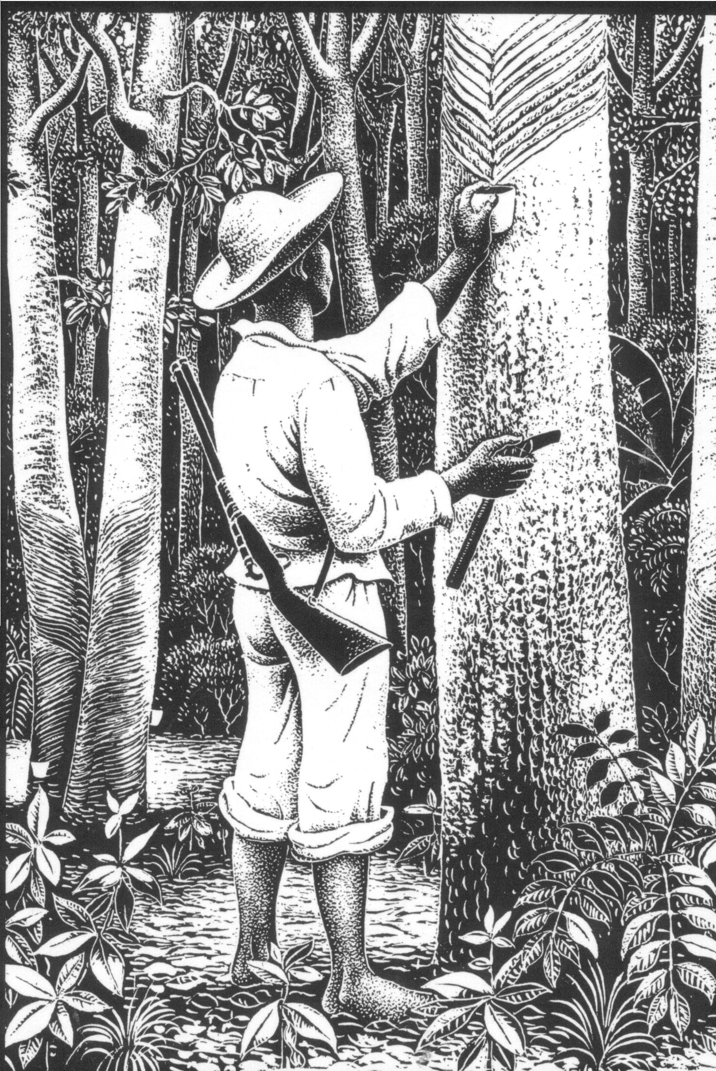 White Gold: the Diary of a Rubber Cutter in the Amazon 1896-1906