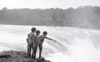 Tracing the Amazonian Travels of Richard Evans Schultes