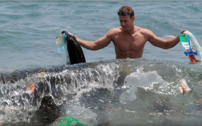 CBS News: Has man dragged Earth into the Anthropocene age?