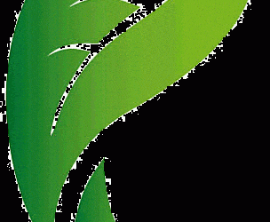 Ecological Footprint