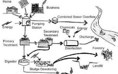 A Brief History of How We Got Into This Mess