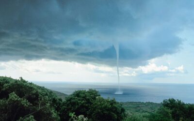 Acclimating to the Anthropocene