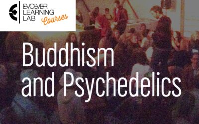 Buddhism Meets Psychedelics: The Course