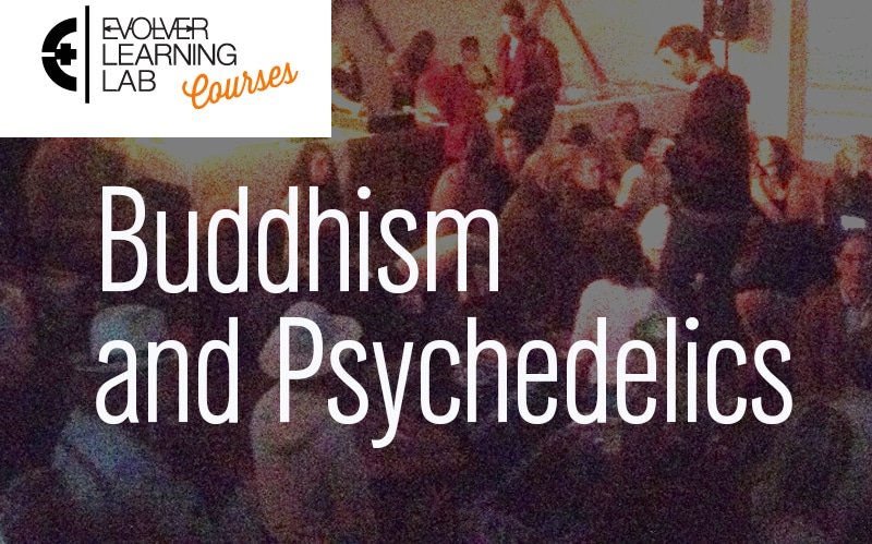 Buddhism Meets Psychedelics: The Course