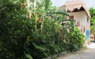 The Wastewater Gardener is Winning!