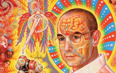 What do Psychedelics, Psychotherapy and Scientific Research Have in Common?