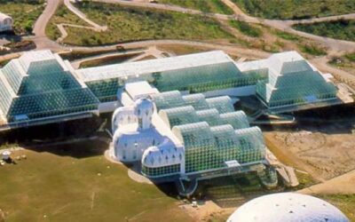 The Whole Schmeer: Biospherics and Systems Thinking