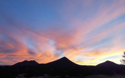 Poet Tea – Love is in the Air