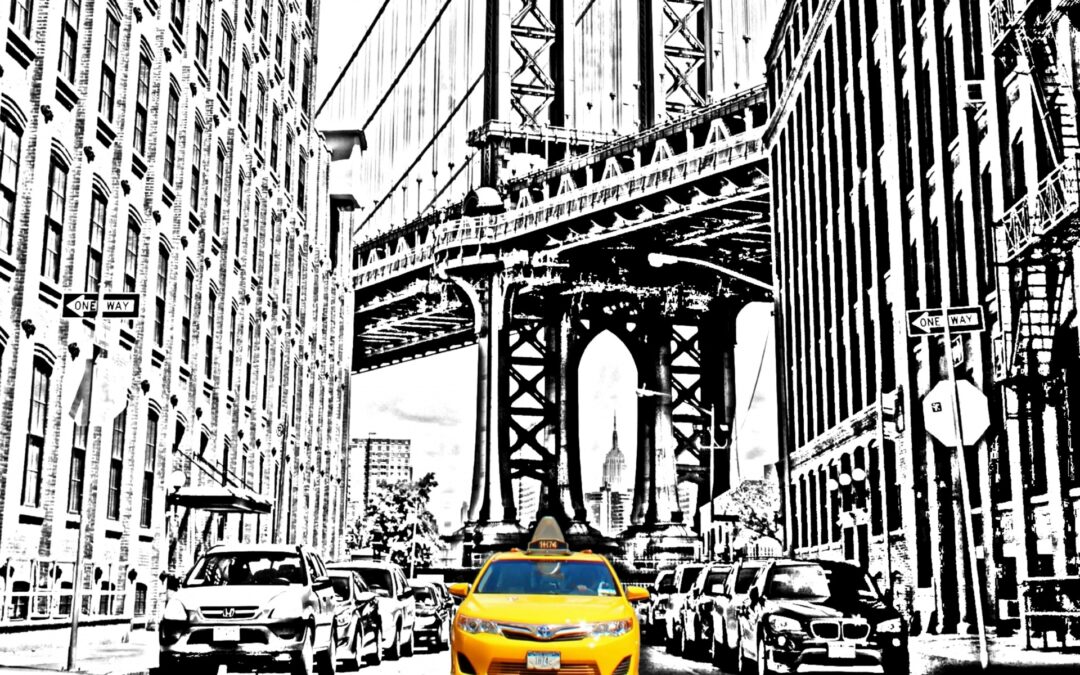 What Can a Taxi Driver from New York Do for the Planet?