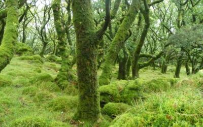 What’s Really Happening To Our Planet?