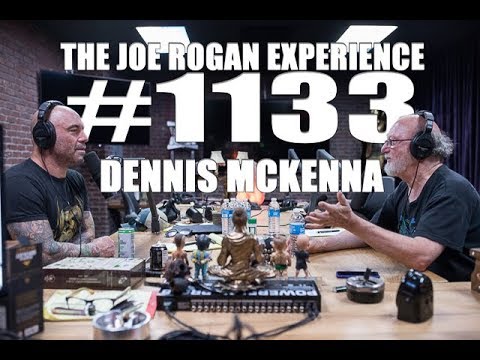 Dennis McKenna & the Joe Rogan Experience