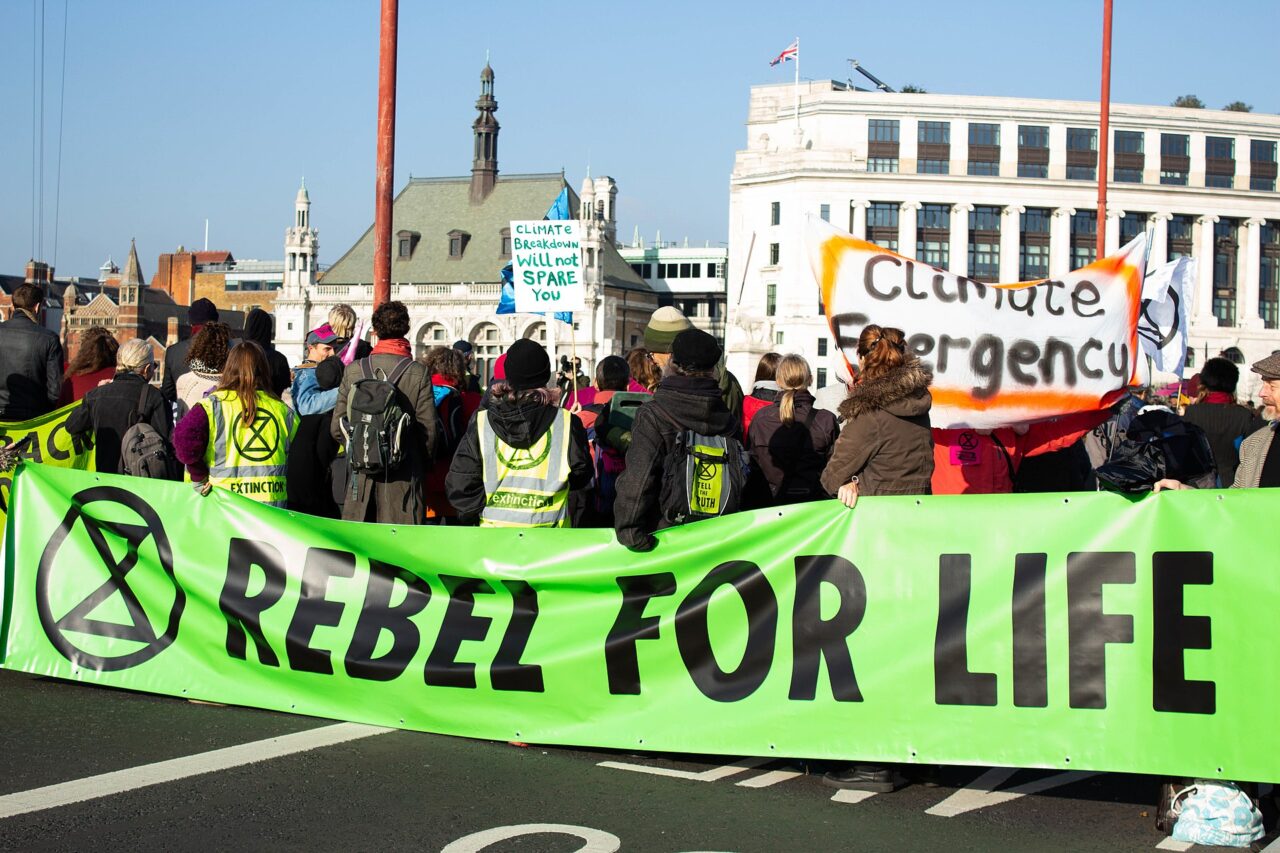 Extinction Rebellion Rebel For Life Synergetic Press 7421