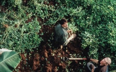 Crucial Lessons in Planetary Stewardship