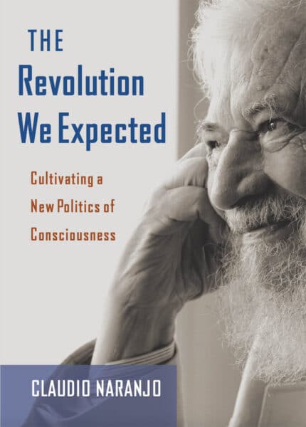 The Revolution We Expected book cover