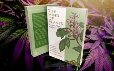 The Mind of Plants excerpt: Cannabis
