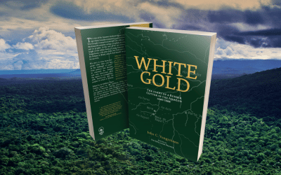 White Gold is Back in Stock