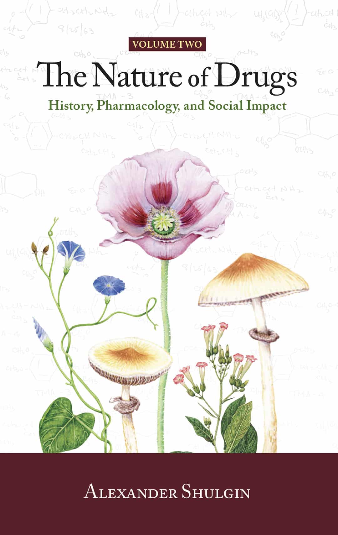 The Nature of Drugs: History, Pharmacology, and Social Impact, Volume 2