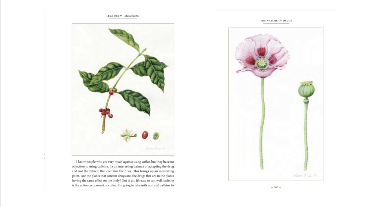 The Botanical Illustrations of Donna Torres: An illustrative journey ...