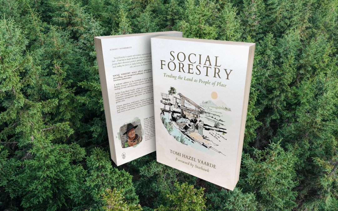 Review of Social Forestry by Kirkus Reviews