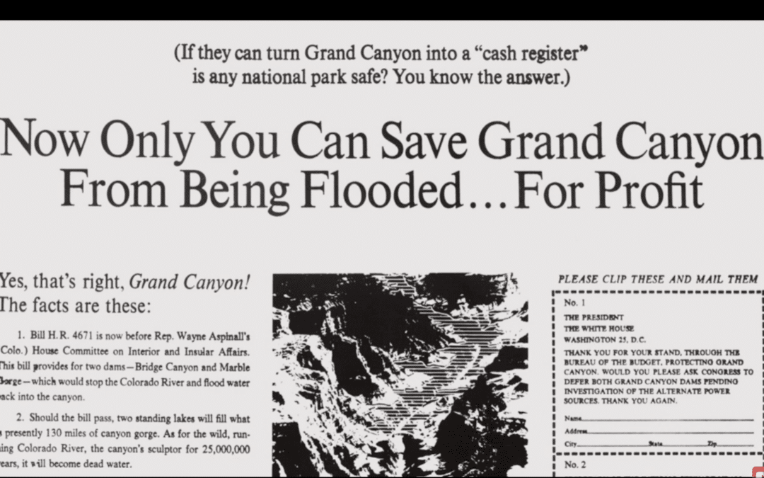 From 70 Ads to Action: The Sierra Club Saved the Grand Canyon