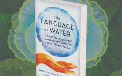 Review of The Language of Water by Kirkus Reviews
